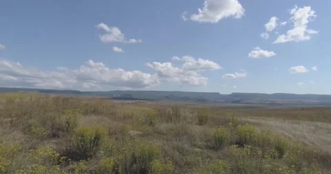 Paths, lakes, water, trees, roads, summer, blue sky Stock Footage 312324500