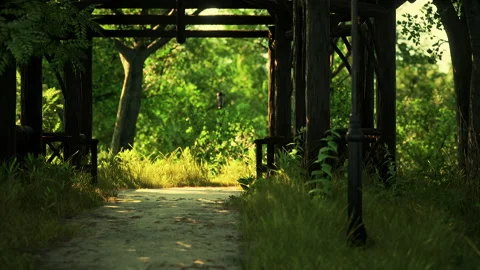 Paths in the Park zone Stock Footage 235153495