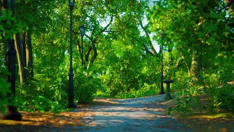 Paths in the Park zone Ilustración de archivo