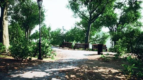 Paths in the Park zone Stock Illustration