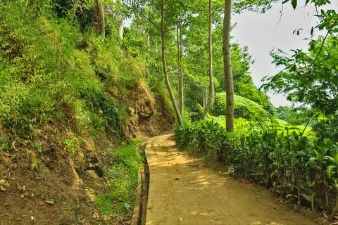 Paths that pass through mountain Stock Photos