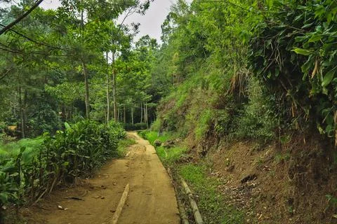 Paths that pass through mountain Stock Photos