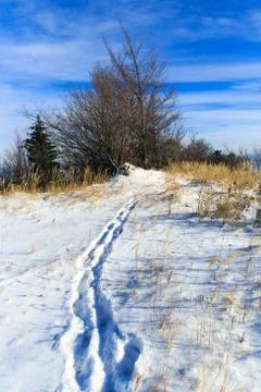 Pathway across winter meadow Stock-Fotos