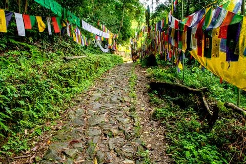 Pathway adorned with Buddhist Prayer flags or Lungta wind horse flags in Sik Foto stock