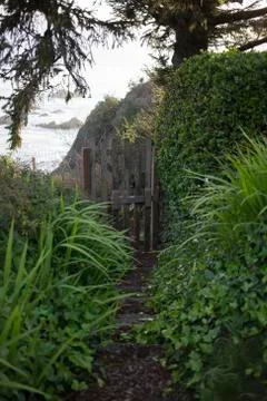 Pathway and Gate Lined with Greenery Leading to Ocean Stock Photos