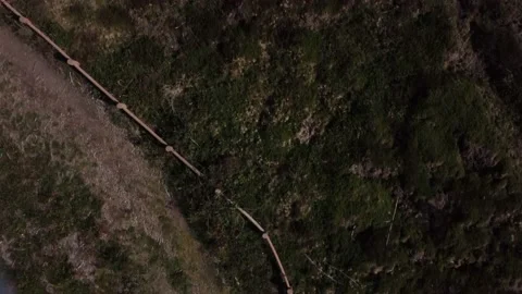 Pathway and Vegetation in a Wild Beach - Viana do Castelo, Portugal Stock Footage 155210306