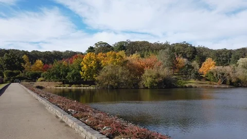 Pathway to autumn garden Stock-Footage 110884594