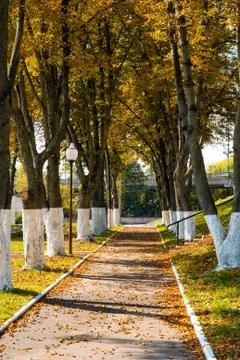 Pathway in the autumn park Stock Photos