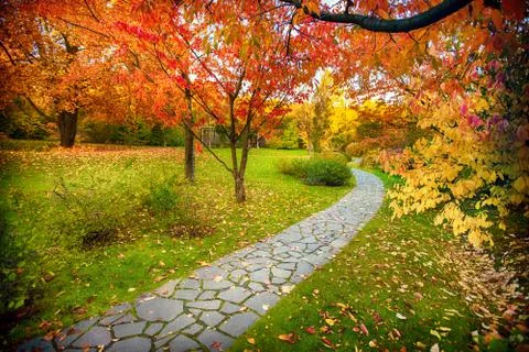 Pathway in autumn Foto stock