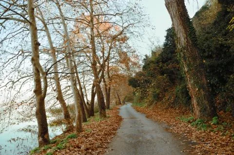 Pathway on the banks of lake Foto stock