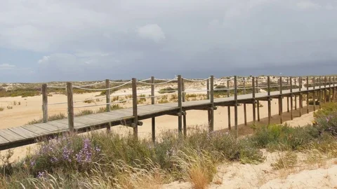 Pathway to the beach on Culatra Island in Ria Formosa, Portugal Stock Footage 76002235