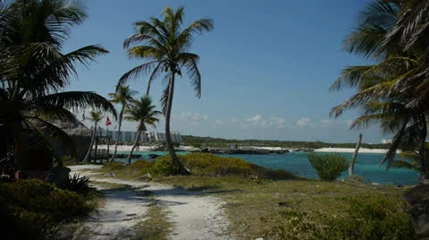 Pathway to Beach Vídeo Stock 22817341