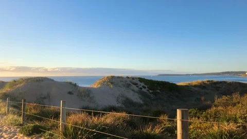 Pathway to the Beach Video stock 88458813