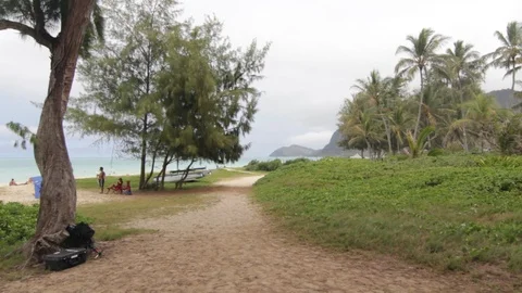 Pathway by the beach Stock Footage 104789180