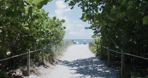 Pathway to the beach Stock Footage 204874693