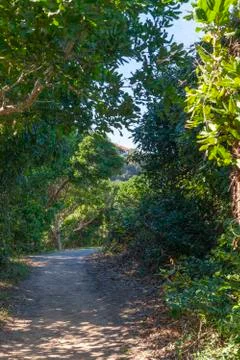 A pathway to the beach Stock Photos