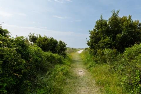 Pathway to the Beach Foto stock