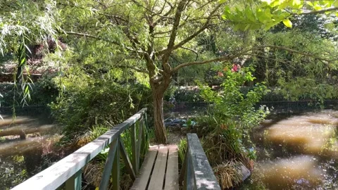 A pathway to a beautiful sanctuary tree Video stock 138086764