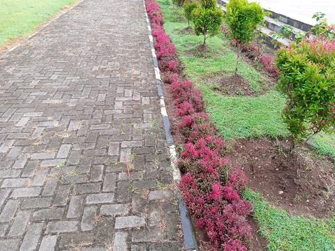 Pathway beside the park Stock Photos