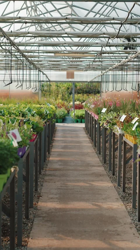 Pathway between flower beds in garden center hothouse Vídeos de archivo 317078639