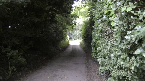 Pathway between high hedges Stock Footage 41422931