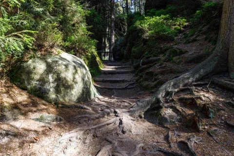 Pathway between sandstone formations in Adrspach Rocks, Czech Republic Stock Photos