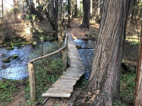 Pathway Bridge Stock Photos