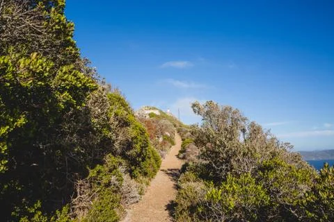 Pathway to Cape Point lighthouse Stock Photos