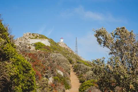 Pathway to Cape Point lighthouse Foto stock
