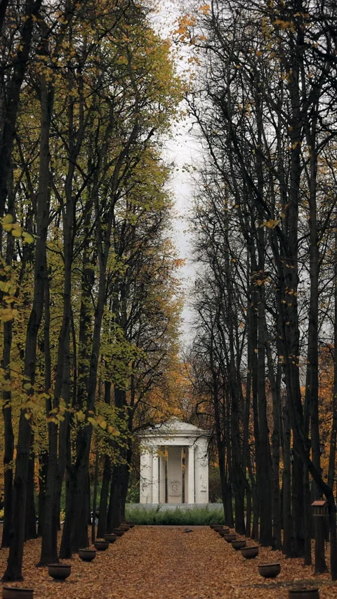 Pathway to a classical pavilion through autumn trees. Stock Footage 289448976