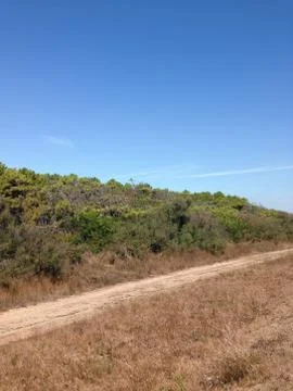 Pathway on the coast Stock Photos