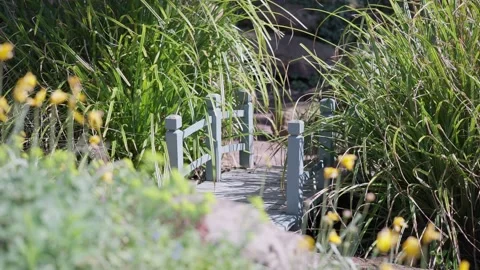 Pathway to a cozy garden during spring Stock Footage 314782326