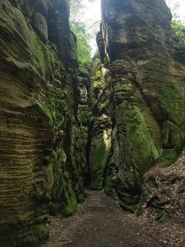 A pathway cuts through tall sandstone cliffs covered in moss and green foliage Stock Photos