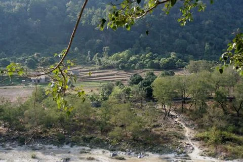 Pathway to Den Stock Photos