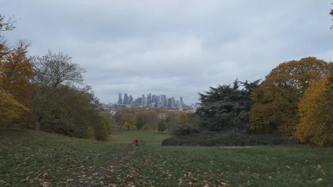 A pathway down a hill in a park with colourful trees and city in the background. Stock Footage 284053524