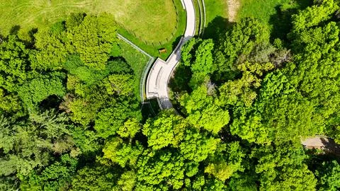 Pathway that Explodes Out - Rosamond Gifford Zoo - Syracuse, NY Foto stock
