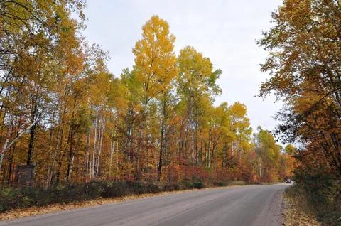 Pathway in the fall Stock Photos