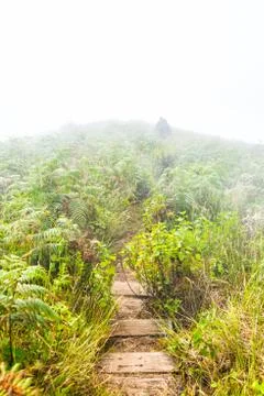 Pathway in field on mountain Stock Photos