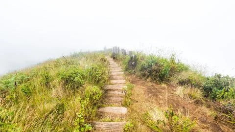 Pathway in field on mountain Stock Photos