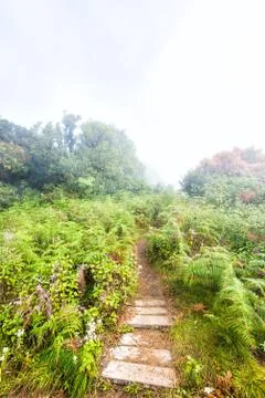 Pathway in field on moutain Stock Photos