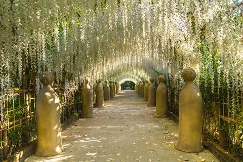 A pathway with flower facade inside the Cherntawan International Meditation C Stock Photos