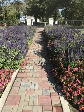 Pathway of Flowers Stock Photos