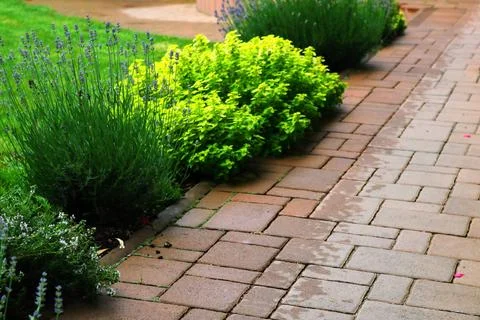 Pathway with Flowers Fotos de archivo