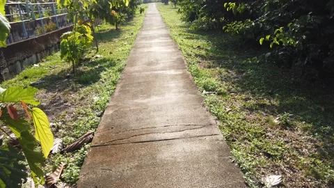 Pathway Stock Footage 145316705