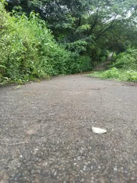 Pathway a footpath or other path or track Stock-Fotos