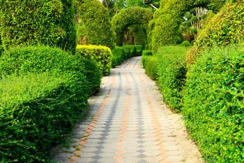 Pathway in garden design. Stock Photos