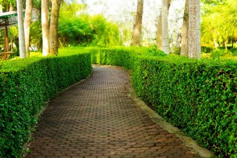 Pathway in garden design with sun ray Stock Photos