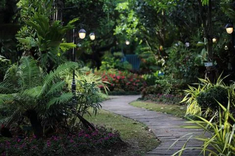 Pathway garden with lamp Stock Photos