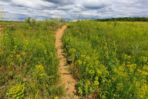Pathway on green meadow Stock Photos