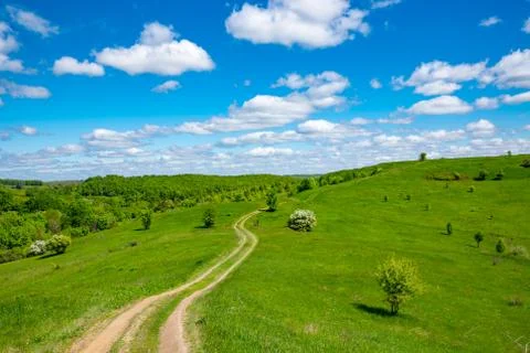 Pathway on green meadow Stock Photos